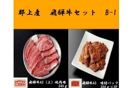 郡上産 飛騨牛セットB-1[A5等級]味付肉200g×2P・(上)焼肉240g