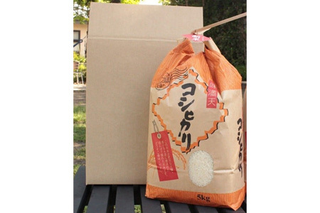 令和7年産 郡上産こしひかり 5kg