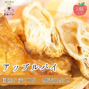 国産素材にこだわった贅沢な絶品アップルパイ【A-232】