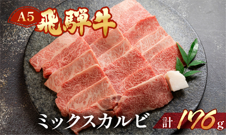 飛騨牛 A5 ミックスカルビ 176g(約2人前)[冷凍 真空]牛肉 カルビ 焼肉 牛 天狗 牛 飛騨牛[11-75]