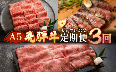 [定期便3回] A5 飛騨牛 天狗 (ステーキ / すき焼き / 焼肉) 牛肉 赤身 霜降り 希少部位 もも サーロイン 肉 下呂温泉 おすすめ 牛肉 ブランド牛 肉ギフト 国産 焼き肉 しゃぶしゃぶ ギフト お楽しみ 50000円 5万円 高級 岐阜県 下呂市[11-M]