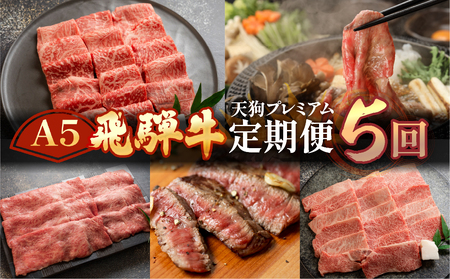 [定期便5回]A5 飛騨牛 天狗 牛肉 (ステーキ / すき焼き / 焼肉 / サーロイン /イチボ ランプ /カルビ ) お楽しみ 肉 定期便 下呂温泉 おすすめ 赤身 霜降り 希少部位 もも すきやき 食べ比べ 高級牛肉 焼き肉 100000円 10万円[11-N]