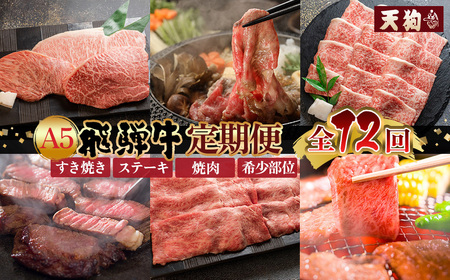 [定期便 12回] A5 飛騨牛 天狗 牛肉 (ステーキ / 焼き肉 / すき焼き /希少部位 赤身 / 霜降り) 1年間 お楽しみ サーロイン カルビ イチボ ランプ もも 肩ロース肉 希少部位 12カ月 肉ギフト 国産 焼肉 すきやき しゃぶしゃぶ 300000円 30万円[11-O]定期 毎月 定期便 飛騨牛 牛