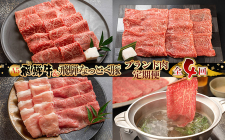 [定期便 4回] 飛騨牛 & なっとく豚 定期便 4回 牛肉 / 豚肉 食べ比べ (焼肉 / すき焼き / しゃぶしゃぶ / 豚しゃぶ) 下呂温泉 お楽しみ おすすめ ブランド牛 赤身 霜降りミックス 牛肉セット 国産 焼き肉 ギフト 50,000円 5万円 岐阜県 下呂市[tc1]