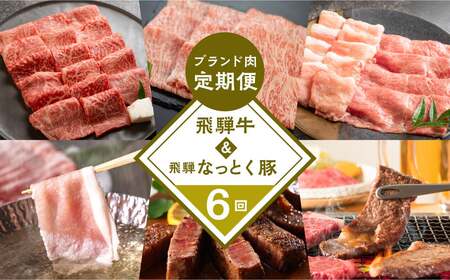 [定期便6回] 飛騨牛 & なっとく豚 ブランド肉 定期便 6回 牛肉 豚肉 (ステーキ / すき焼き / しゃぶしゃぶ / 焼き肉) カルビ イチボ お楽しみ 下呂温泉 おすすめ ブランド牛 赤身 霜降り 肉ギフト 国産き 焼肉 豚しゃぶ ギフト 100000円 岐阜県 下呂市 天狗 菊の井ミート[tc2]