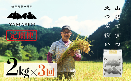 (新米)令和6年産米[定期便]山仙(いのちの壱)2kg×3回 すがたらいす 令和6年 ブランド米 いのちのいち 下呂市金山産 ブランド のいち 2024年 毎月 2キロ×3カ月 お米 精米 下呂温泉 下呂市 [51-E]