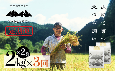 令和6年産米[定期便]山仙(いのちの壱)2kg×2袋(4kg)×3回 すがたらいす 令和6年 ブランド米 いのちのいち 下呂市金山産 2024年産 定期 毎月 4キロ×3カ月 お米 精米 下呂温泉 下呂市 米[51-F]