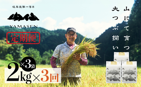 (新米)令和6年産米[定期便]山仙(いのちの壱)2kg×3(6kg)×3回 定期 すがたらいす 下呂市金山産 令和6年 ブランド米 いのちのいち 2024年産 毎月 6キロ×3カ月 お米 精米 下呂温泉 下呂市 米[51-G]