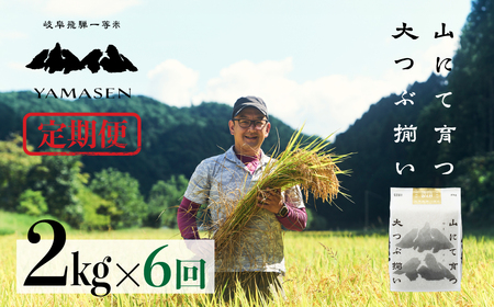 (新米)令和6年産米[定期便]山仙(いのちの壱)2kg×6回 定期 すがたらいす 令和6年 ブランド米 いのちのいち 下呂市金山産 2024年産 毎月 2キロ×6カ月 お米 精米 下呂温泉 下呂市 米[51-I]