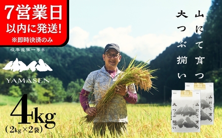 【令和6年産米】すがたらいす 山仙 (いのちの壱) 2kg×2袋（4kg）すがたらいす 4キロ 令和6年 ブランド米 いのちのいち 下呂市金山産 2024年産 お米 精米 米 いのちのいち やません【51-18】
