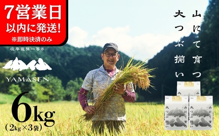 【令和6年産米】すがたらいす 山仙 (いのちの壱) 2kg×3袋（6kg）すがたらいす 6キロ 令和6年 ブランド米 いのちのいち 下呂市金山産 2024年産 お米 精米 米 いのちのいち やません【51-19】