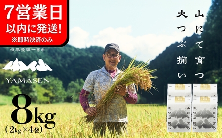 【令和6年産米】すがたらいす 山仙 (いのちの壱) 2kg×4袋（8kg）すがたらいす 8キロ 令和6年 ブランド米 いのちのいち 下呂市金山産 2024年産 お米 精米 米 いのちのいち やません【51-20】