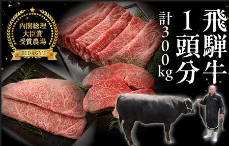 [定期便]飛騨牛一頭分食べつくし(最大 36回)総重量 約300kg 牛肉 ブランド牛 牛 一頭 定期 お肉 肉 肉贈 飛騨萩原畜産[22-C]