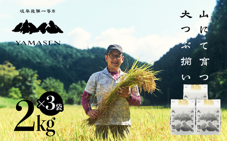 新米予約受付【令和7年産米】すがたらいす 山仙 (いのちの壱) 2kg×3袋 すがたらいす 下呂市金山産 6キロ 米 2025年産 お米 精米 米 いのちのいち やません【51-29】