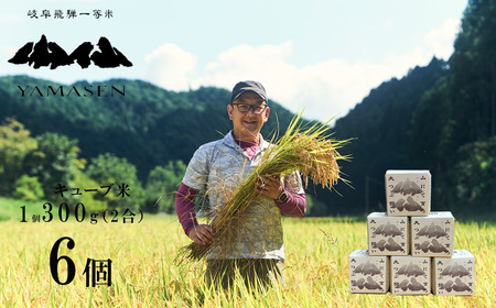 新米予約受付[令和7年産米]すがたらいす 山仙 (いのちの壱) キューブ米 6個 (1個 300g(2合))真空包装 プチギフト ギフト 小分け お裾分け 下呂市金山産 2025年 お米 精米 いのちのいち やません ブランド 有限会社 すがたらいす[51-23]