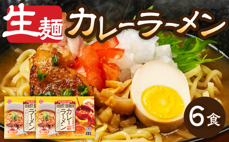 カレーラーメン 3食(100g×3 スープ付)×2箱 計6食[丸中製麺所]ラーメン 自家製麺 飛騨 下呂市 カレー 生麺 生めん[29-14]