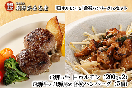 [遅れてごめんね 父の日(2025年6月17日〜22日お届け)]飛騨の牛白ホルモン(200g×2袋)合挽ハンバーグ(5個)セット 国産 牛肉 ブランド牛 和牛 飛騨豚 味付き 味付け ホルモン おすすめ 贈答 父の日[冷凍配送][22-36fo]