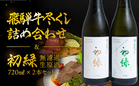 [飛騨 味職人]飛騨牛尽くし詰め合わせと[初緑] 無濾過生原酒2種セット(720ml×各1本) お酒 日本酒 純米吟醸 奥飛騨酒造 おさだ食品 ローストビーフ ハム おつまみ 晩酌 ギフト 下呂温泉[54-22]