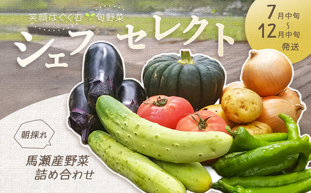 ＼産地直送/朝採れ!! 旬の野菜SET 『シェフセレクト』8〜10品目(発送時期:2025年7月中旬から12月中旬まで) 旬 期間限定 収穫 旬野菜 詰合せ 野菜 セット [日本で最も美しい村 馬瀬産]下呂温泉[79-10]