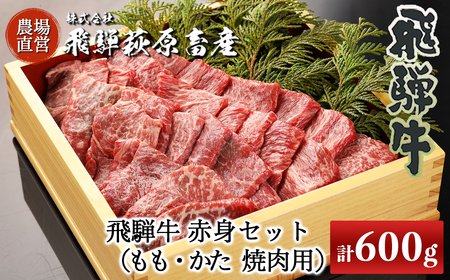 [家計応援 期間限定]飛騨牛赤身焼肉セット 600g(もも焼肉 300g・かた焼肉 300g)焼肉 焼き肉用 飛騨牛 赤身 最高級 国産 牛肉 ブランド牛 和牛 焼き肉 ギフト 贈答 [冷凍][22-27g]