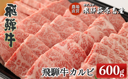 [家計応援 期間限定]飛騨牛カルビ焼肉 600g 国産 牛肉 ブランド牛[冷凍]焼き肉 おすすめ ギフト 贈答 高級 カルビ 焼肉用 牛 牛肉 飛騨萩原畜産 下呂市 飛騨牛[22-16g]
