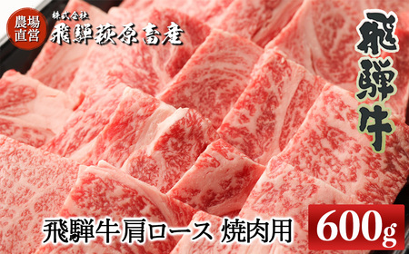 yƌv Ԍzˋ[X 600giēpjY  uh Ăp Mtg  蕨 yⓀzCsy22-19(1)gz