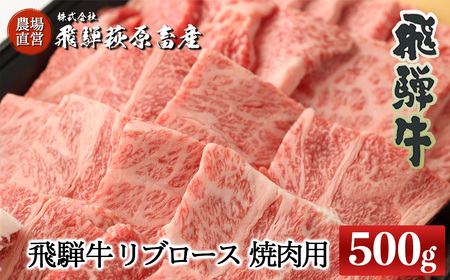 [家計応援 期間限定]飛騨牛リブロース 500g(焼肉用)国産 牛肉 ブランド牛 おすすめ 高級 やきにく 焼き肉 ギフト 贈答[冷凍][22-20(1)g]