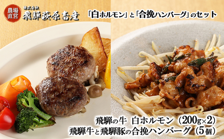 [家計応援 期間限定]飛騨の牛白ホルモン(200g×2袋)合挽ハンバーグ(5個)セット 国産 牛肉 ブランド牛 和牛 飛騨豚 味付き 味付け ホルモン 牛 おすすめ 贈答[冷凍配送][22-36g]