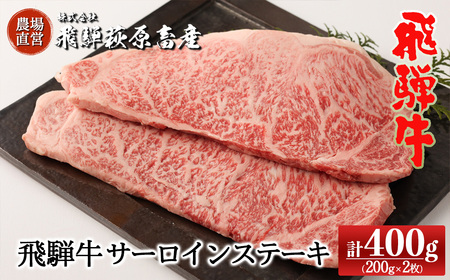 [家計応援 期間限定]飛騨牛サーロインステーキ 200g×2枚 国産 牛肉 ブランド牛 ステーキ ギフト 贈答[冷凍][22-17g]