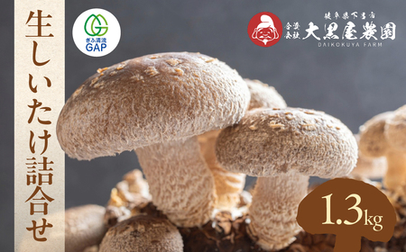 菌床生椎茸 詰め合せセット(4パック+3袋)7品 計1.3kg [119-1]
