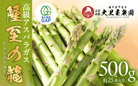 先行予約(2026年5月から順次発送)高級アスパラガス 隆至の龍 500g(約25本入り)レギュラーサイズ[119-3]