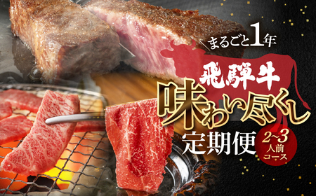 [定期便 12回]飛騨牛まるごと1年味わい尽くし定期便(2〜3人前)[70-C]