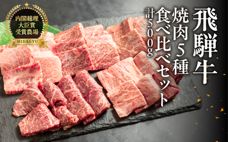 飛騨牛 焼肉 5種 食べ比べセット(各100g)計500g (カルビ・肩・モモ・ロース・トモサンカク)[22-53]