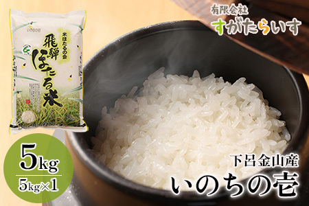 即納【令和5年産米】いのちの壱 5kg すがたらいす  2023年産 5キロ 令和5年 お米 米 精米 下呂市金山産 米 2023年産米 即納 米【51-2】