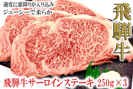 菊の井 飛騨牛サーロインステーキ 250g×3 牛肉[70-13][冷凍]下呂市 サーロイン ステーキ 牛 飛騨牛 牛肉