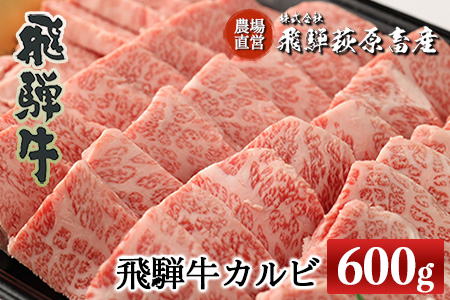 飛騨牛カルビ焼肉 600g 牛肉 国産 ブランド牛[22-16][冷凍]