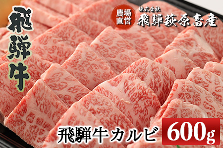 飛騨牛カルビ焼肉 600g 牛肉 国産 ブランド牛[22-16][冷凍]牛 飛騨牛 カルビ 焼き肉用 焼き肉