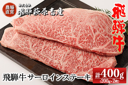 飛騨牛サーロインステーキ 200g×2枚 牛肉 国産 ブランド牛[22-17][冷凍]牛 ステーキ サーロイン 下呂市 飛騨牛