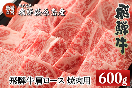 飛騨牛肩ロース 600g(焼肉用)牛肉 国産 ブランド牛 [22-19[1]][冷凍]