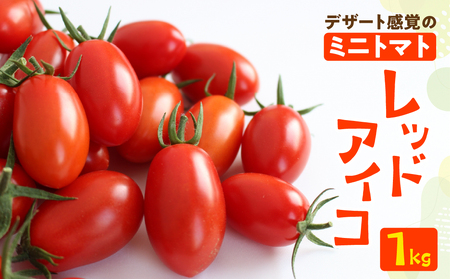予約受付≪期間限定≫(2025年7月中旬頃から順次発送) 産地直送!飛騨下呂のレッドアイコ 1kg ミニトマト とまと トマト アイコ 新鮮 国産 [27-3]