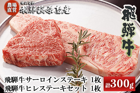 2種類の部位を食べ比べ!飛騨牛ステーキセット (サーロイン 200g×1枚・ヒレ 100g×1枚)最高級 国産 牛肉 和牛 ブランド牛 [22-21][冷凍]