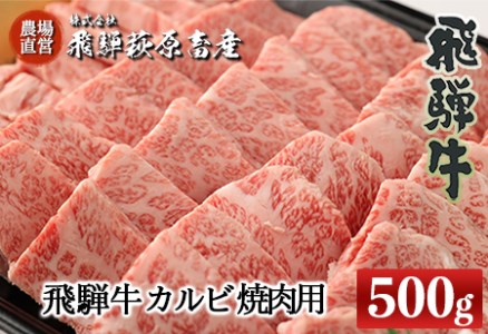 飛騨牛カルビ焼肉用(500g)最高級 国産 牛肉 ブランド牛 和牛 [22-24][冷凍]