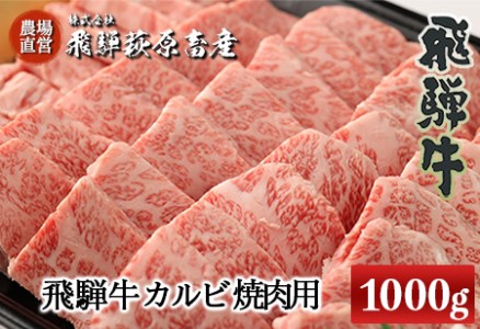 たっぷり大容量!飛騨牛カルビ焼肉用(1kg)最高級 国産 牛肉 ブランド牛 和牛 [22-26][冷凍]