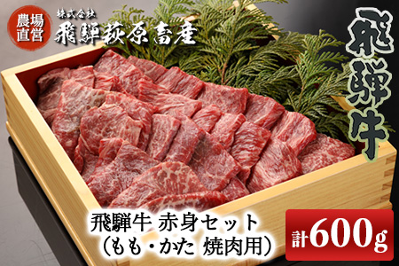 飛騨牛赤身焼肉セット 600g(もも焼肉 300g・かた焼肉 300g)最高級 国産 牛肉 ブランド牛 和牛 [22-27][冷凍]