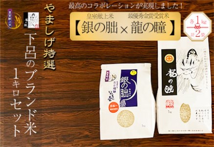 やましげ特撰[2024年産]「下呂のブランド米 1kg セット」2種類(龍の瞳 1kg×1・銀の朏 1kg×1)ブランド米 下呂温泉 精米 食べ比べ 令和6年 りゅうのひとみ ぎんのみかづき 米[83-10]