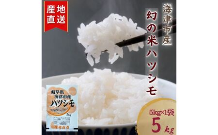[令和7年度産/白米]ハツシモ 5kg 岐阜県海津市産
