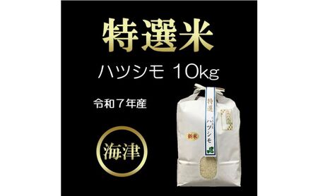 [オンライン決済限定][令和7年度産/白米]特選米ハツシモ (10kg)