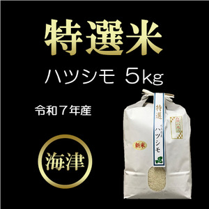 [令和7年産/白米]特選米ハツシモ(5kg)