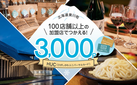 HUCポイント ¥3,000分