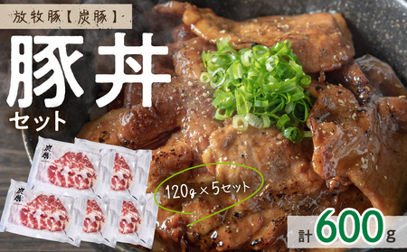 放牧豚"炭豚"の豚丼セット(120g×5)